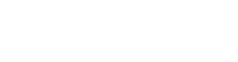 SATINEL brand logo